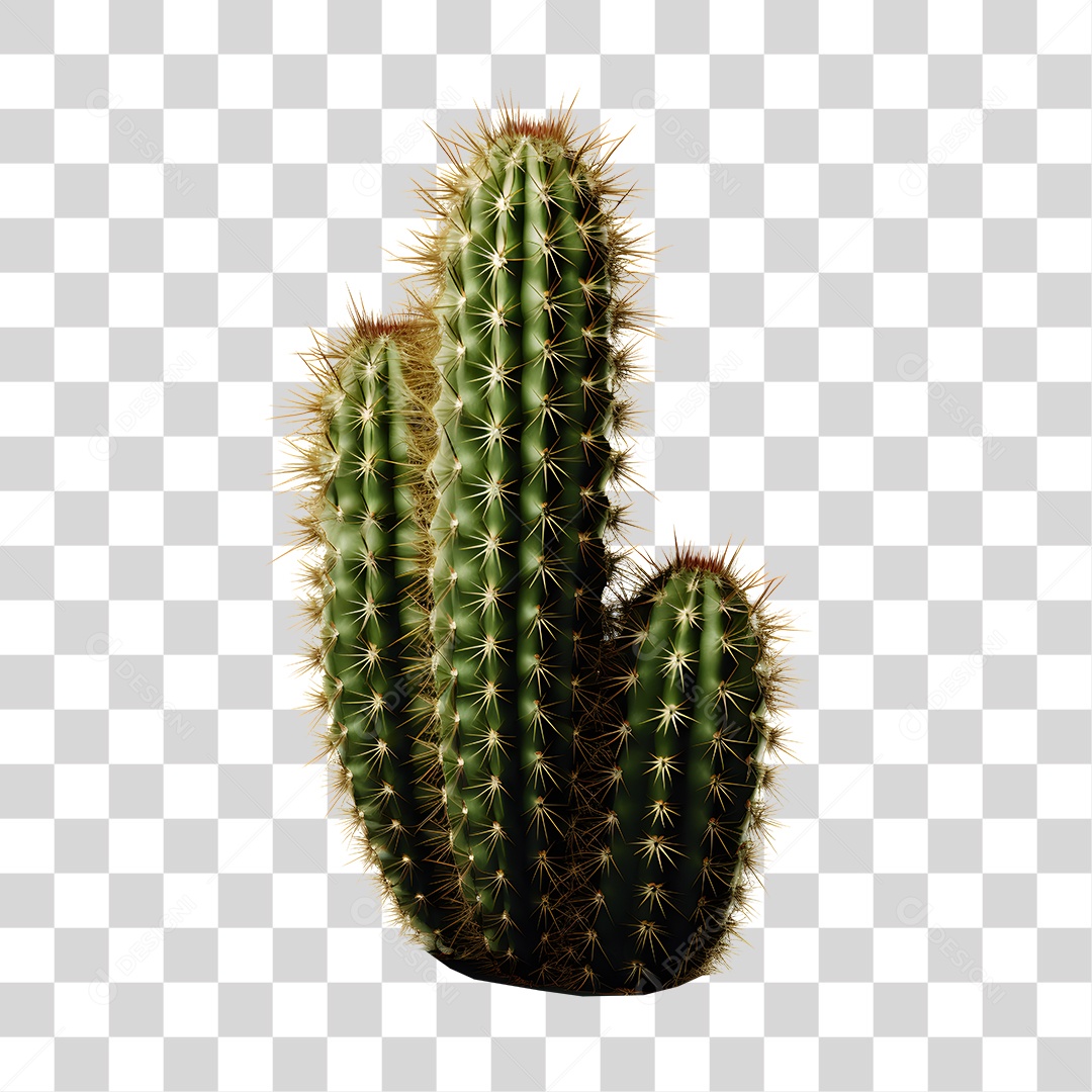 Elemento 3D Cacto Verde De São João Para Composição PNG Transparente