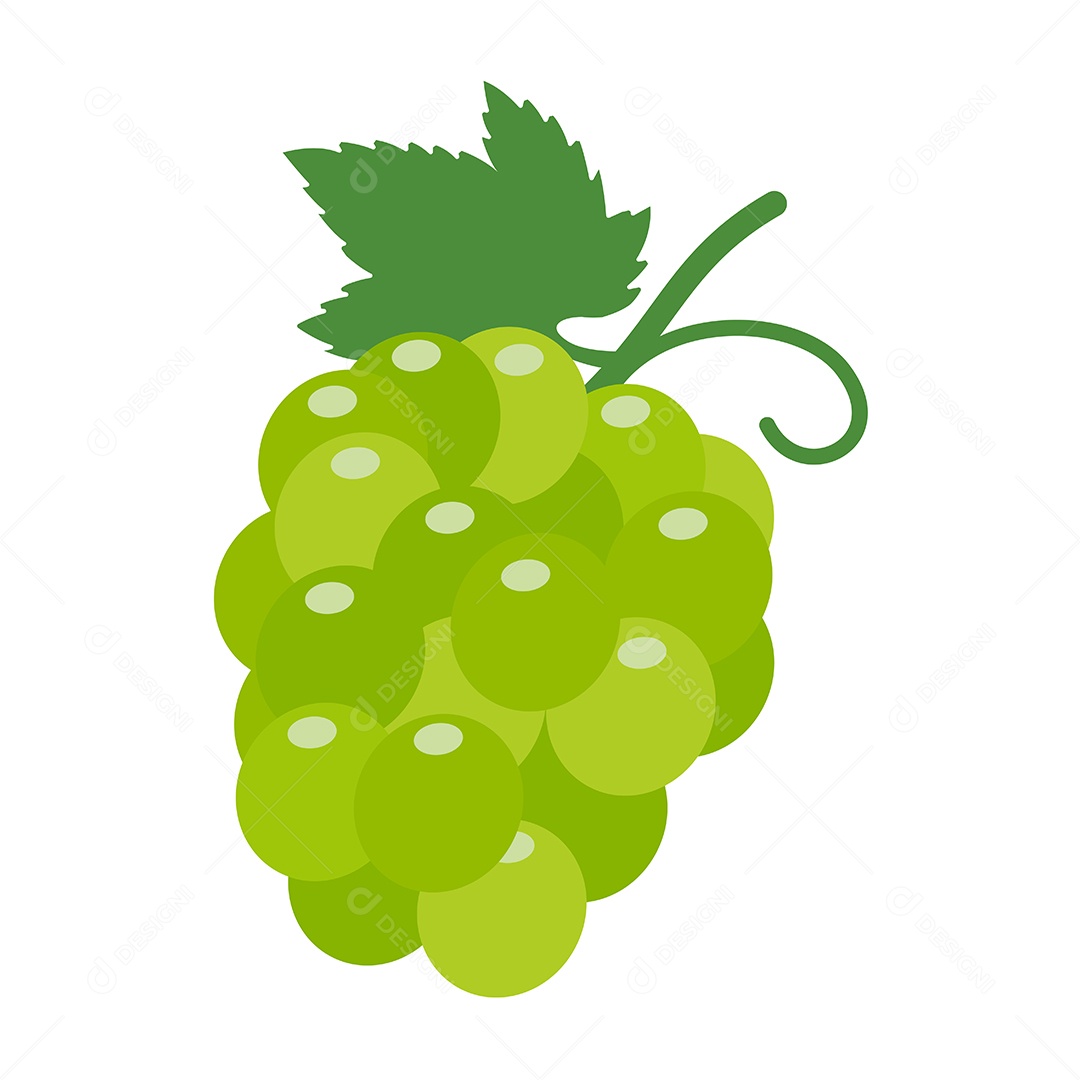 Desenho De Fruta Uva Verde Vetor EPS