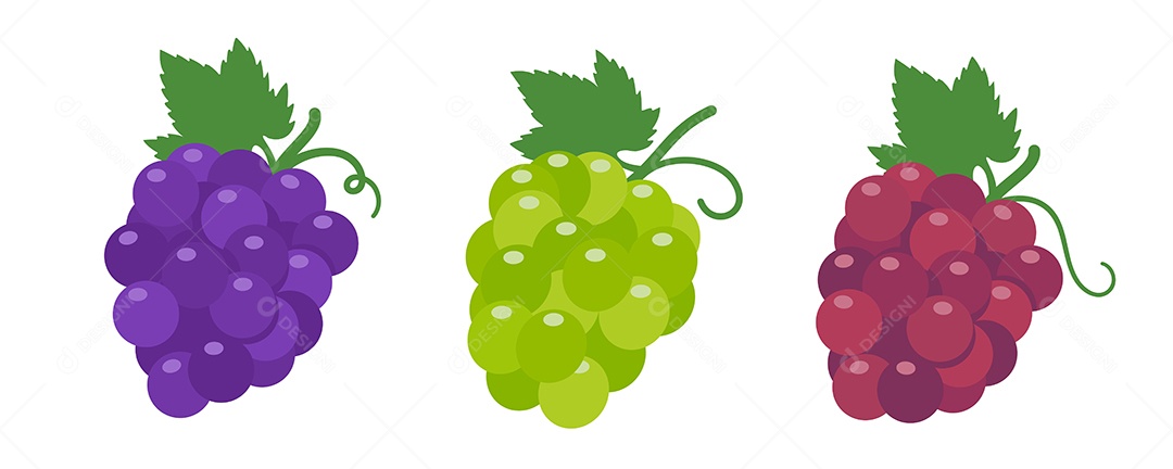 Desenho De Fruta Uvas Roxa Verde e Vermelhas Vetor EPS