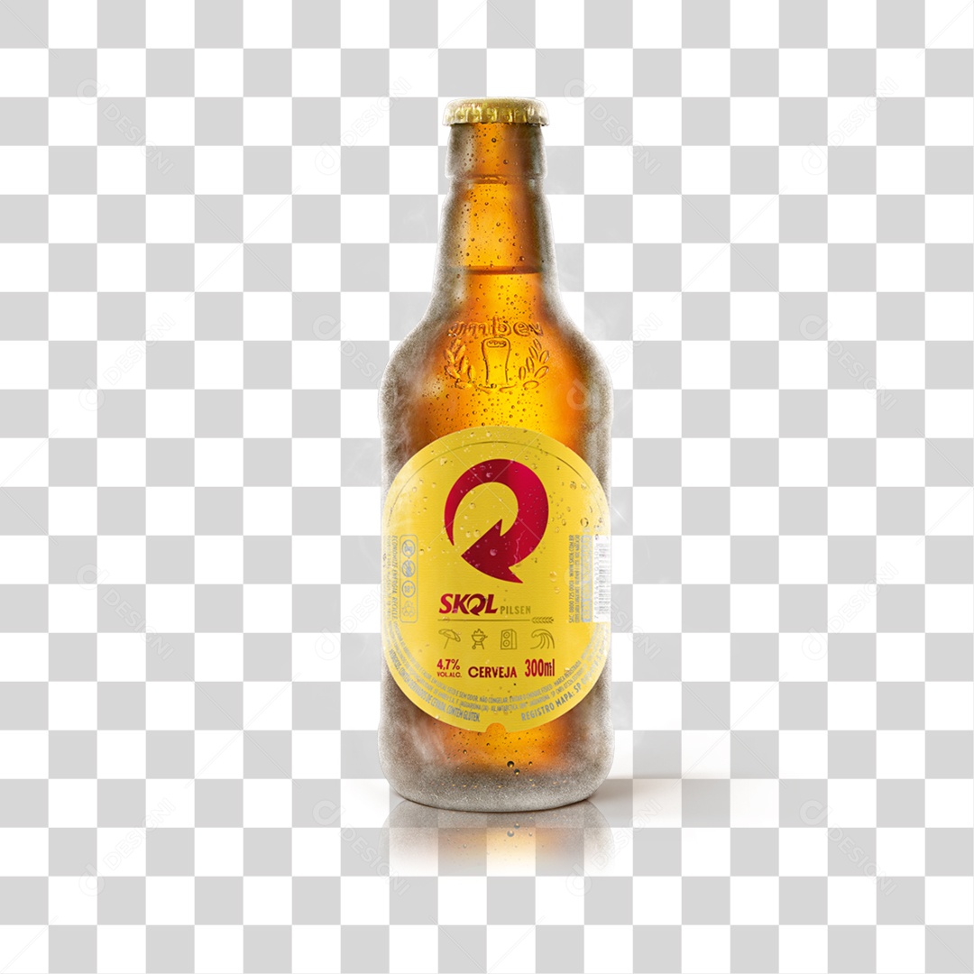 Cerveja Skol Buchudinha Gelada PNG Transparente