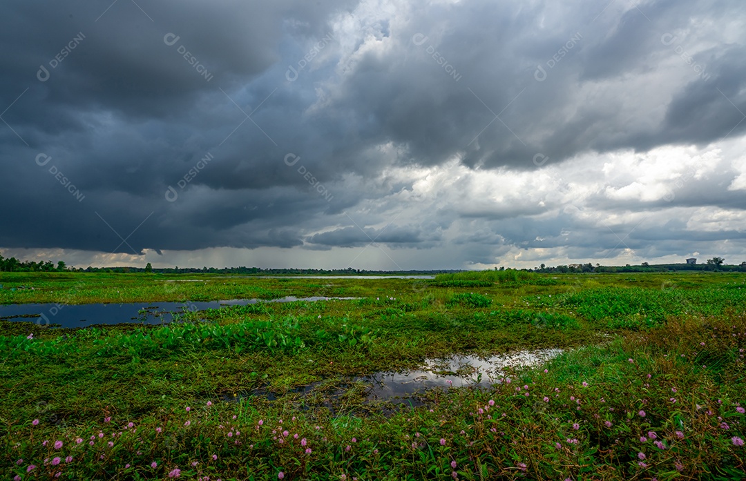 Paisagem de campo de grama verde e céu nublado