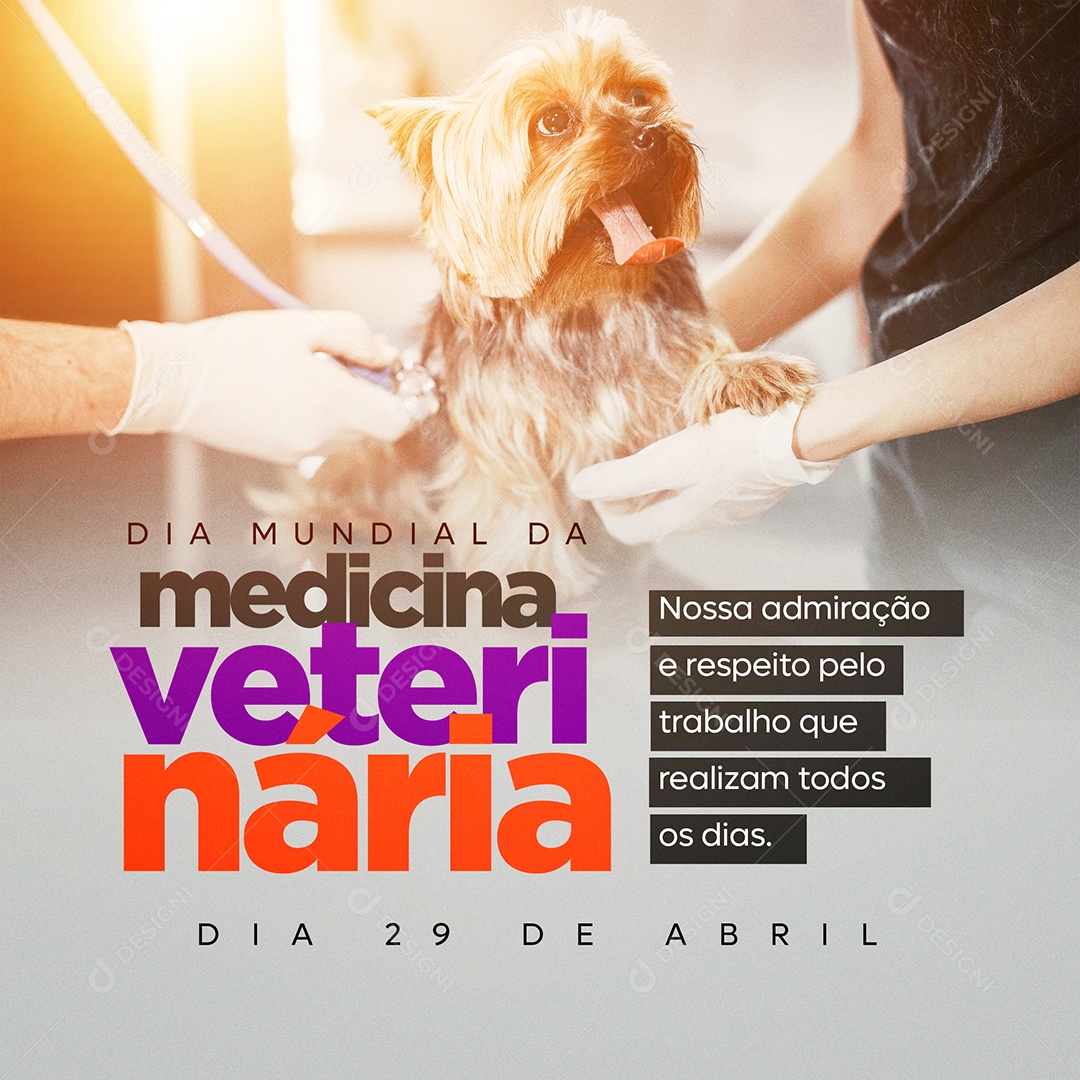 Social Media Dia Mundial Da Medicina Veterinária Admiração E Respeito PSD Editavel