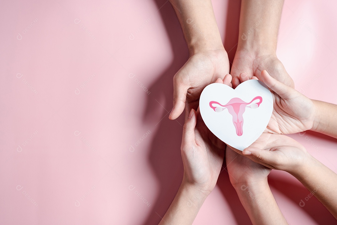 Mãos segurando o útero em forma de coração, sistema reprodutivo feminino