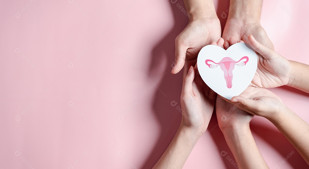 Mãos segurando o útero em forma de coração, sistema reprodutivo feminino