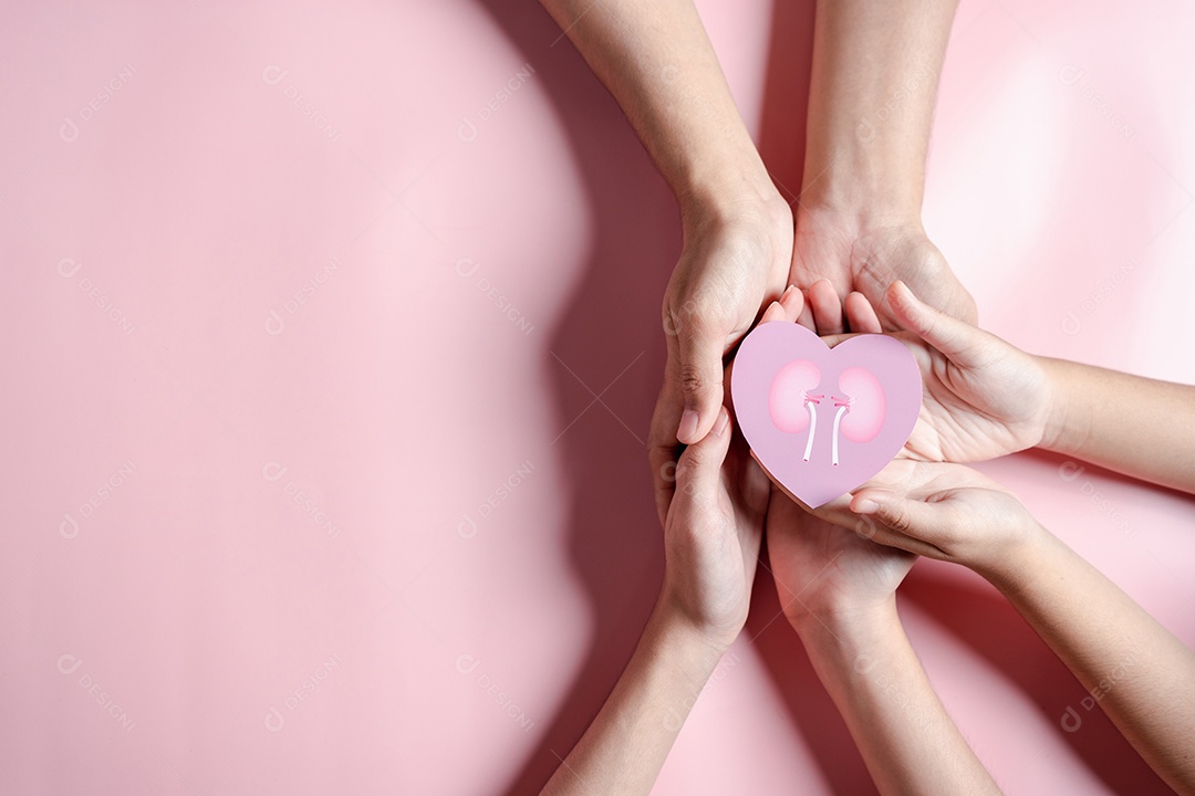 Mãos segurando forma de rim no coração. doença renal crônica