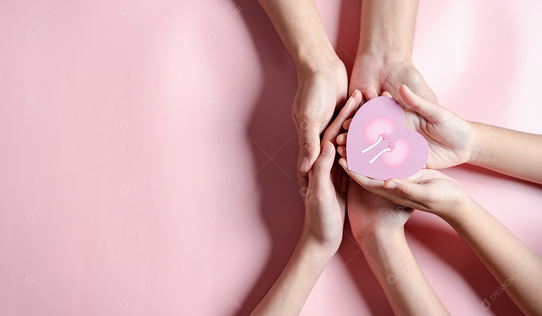 Mãos segurando forma de rim no coração. doença renal crônica