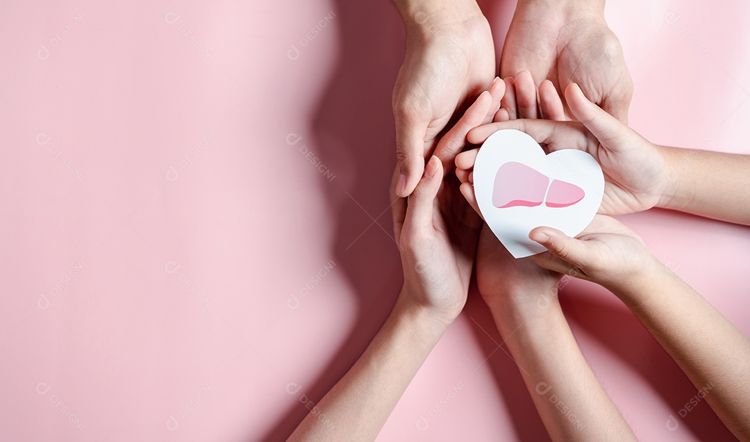 Mãos segurando o órgão do fígado em forma de coração