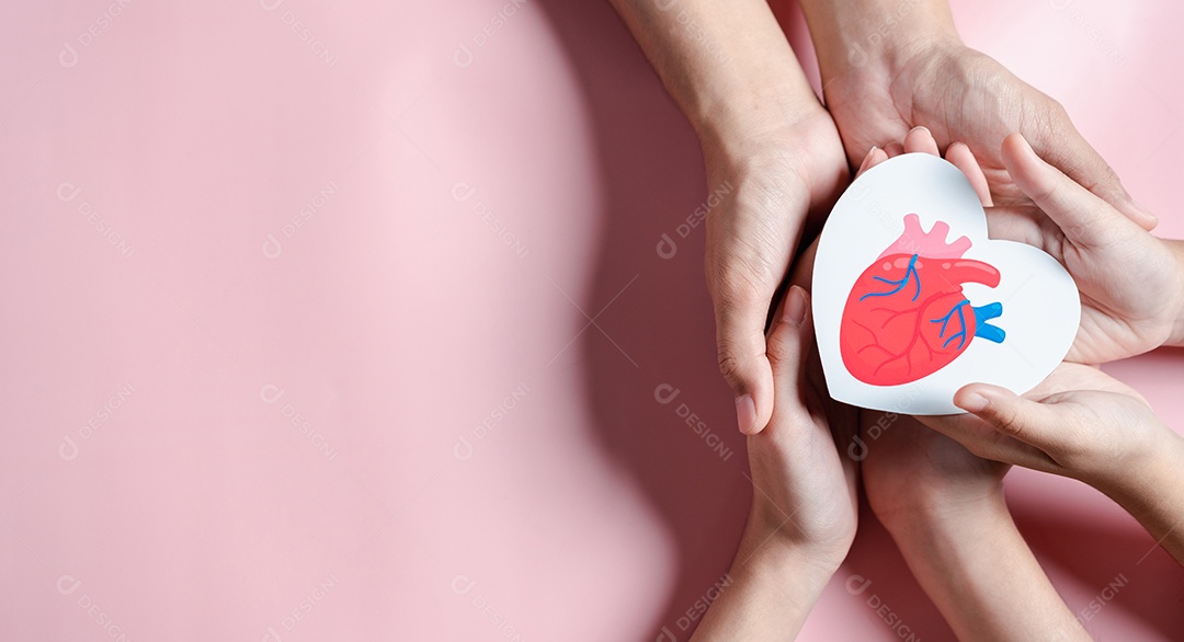 Mãos segurando corte de papel de anatomia de coração vermelho
