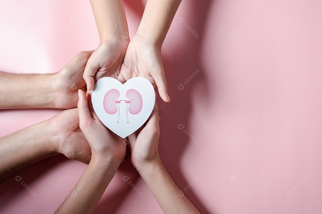 Mãos segurando forma de rim no coração. doença renal crônica