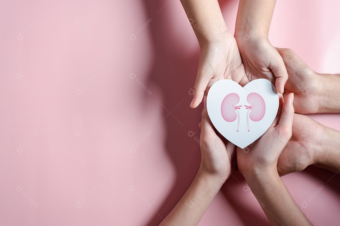 Mãos segurando forma de rim no coração. doença renal crônica