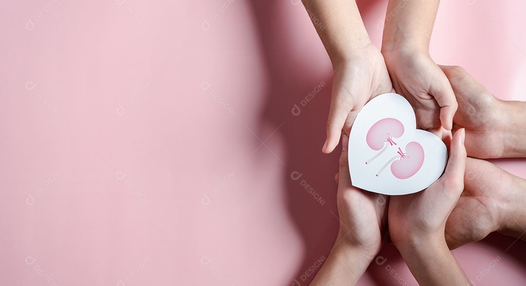Mãos segurando forma de rim no coração. doença renal crônica