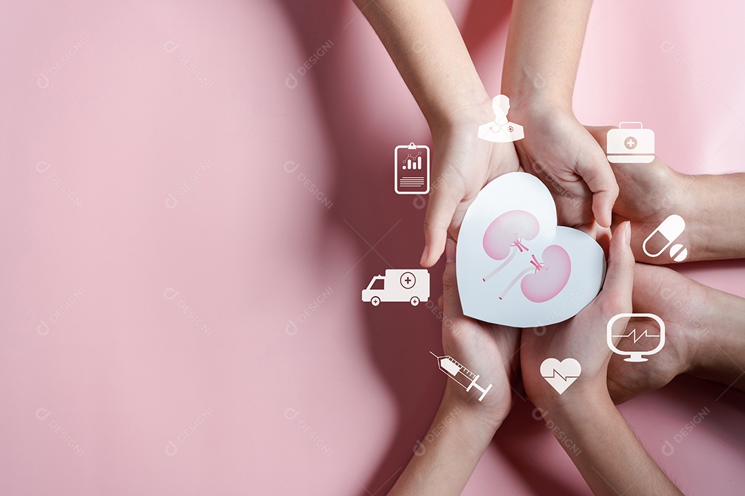 Mãos segurando forma de rim no coração. doença renal crônica