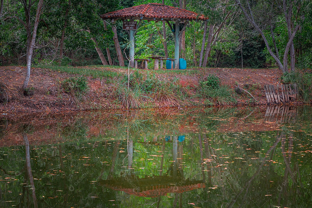 Floresta ao fundo refletida no lago em primeiro plano.