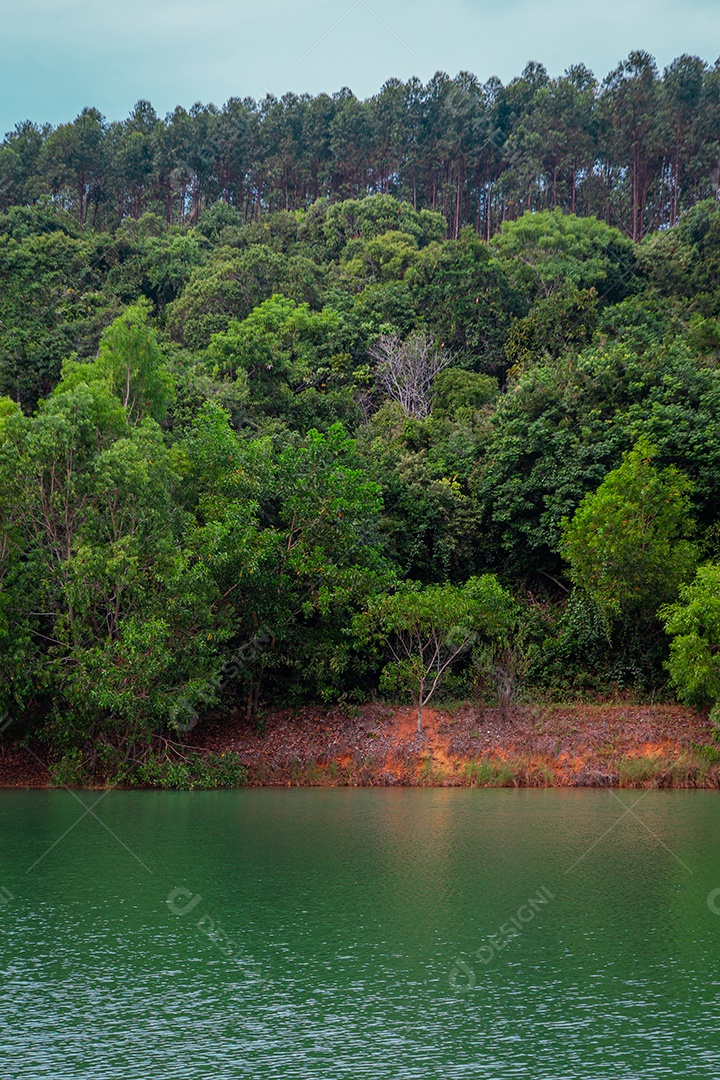 Floresta ao fundo refletida no lago em primeiro plano.