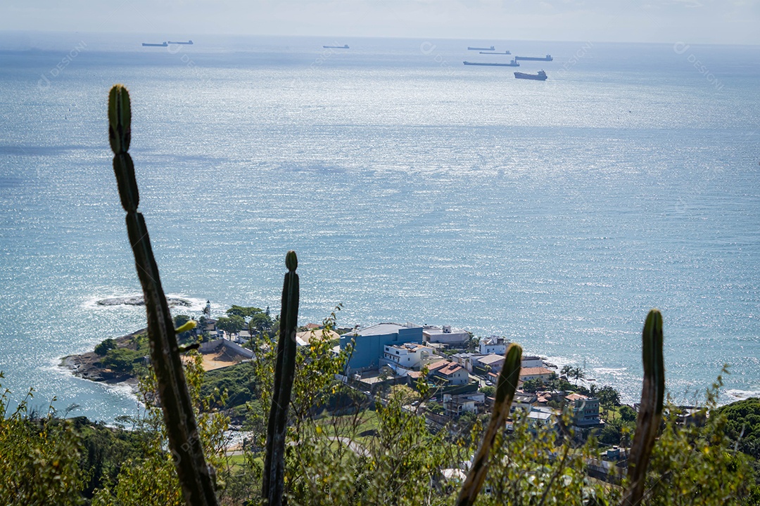 Composição de navios ancorados ao fundo com um cacto em primeiro plano. Morro do Moreno. Espírito Santo, Brasil.