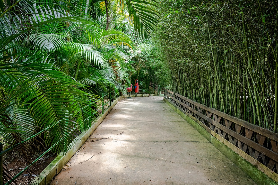 Entrada arborizada do zoológico de Marechal Floriano, Espírito Santo. 12 de fevereiro de 2023.