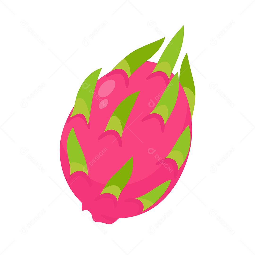 Desenho De Pitaia Fruta Vetor EPS