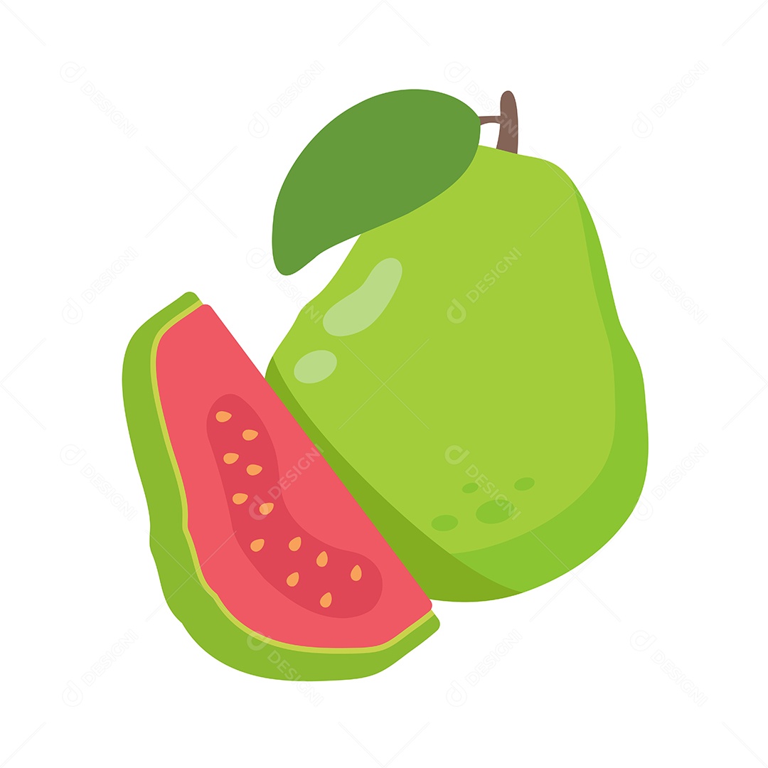 Desenho De Goiaba Fruta Vetor EPS