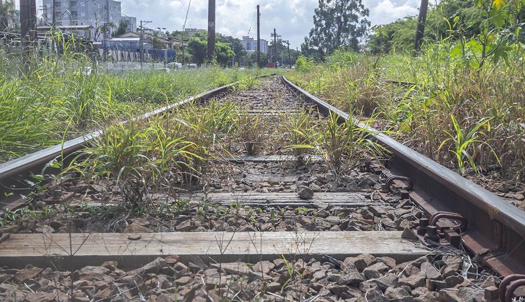 Trilho de trem abandonado com vegetação dominando o território, dia ensolarado.