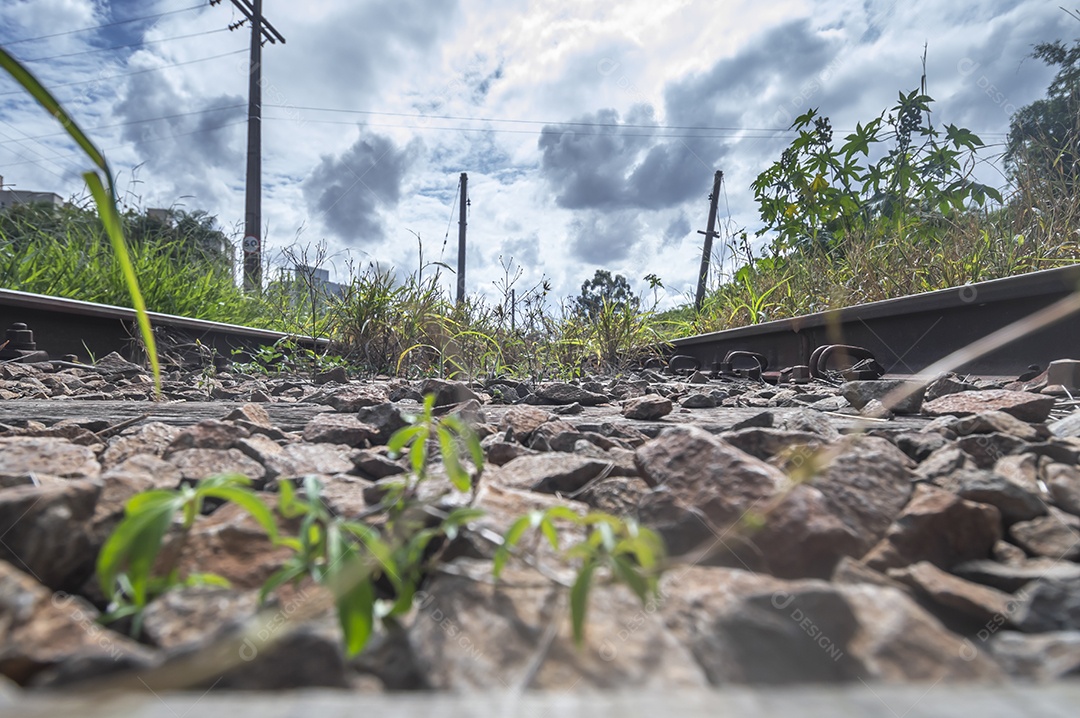 Trilho de trem abandonado com vegetação dominando o território, dia ensolarado.