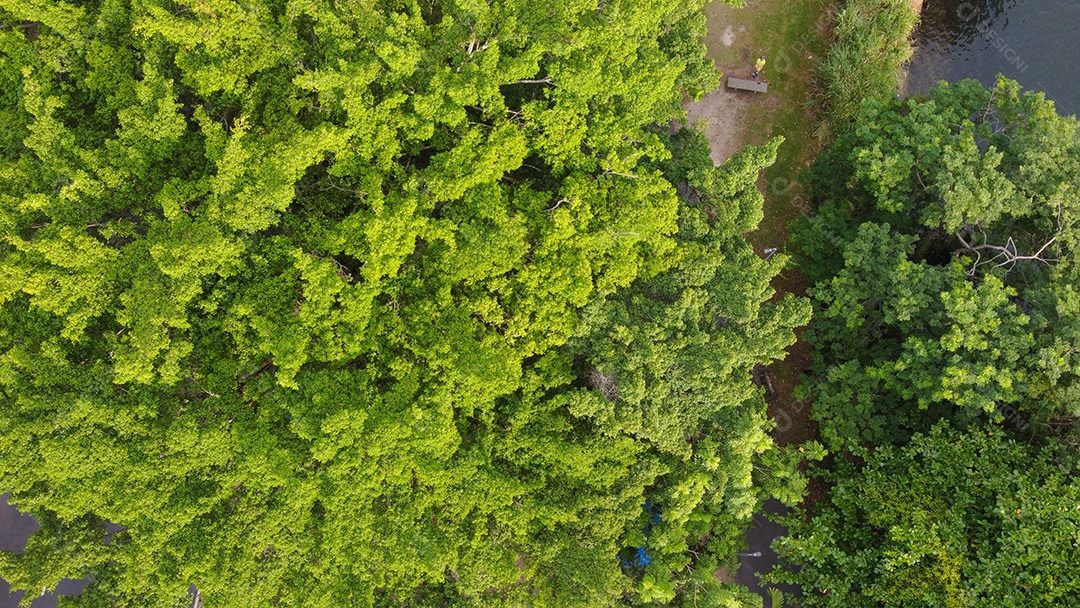 Imagem aérea da lagoa rodrigo de freitas no Rio de Janeiro, Brasil.