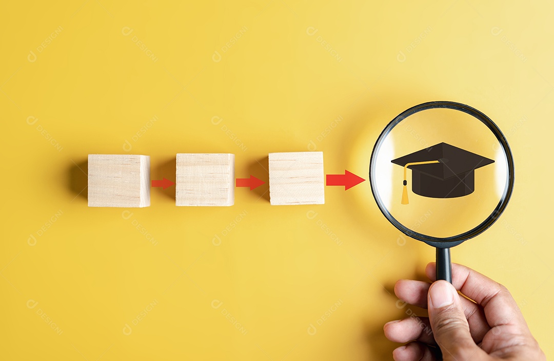 Etapas da educação que levam ao objetivo de sucesso.