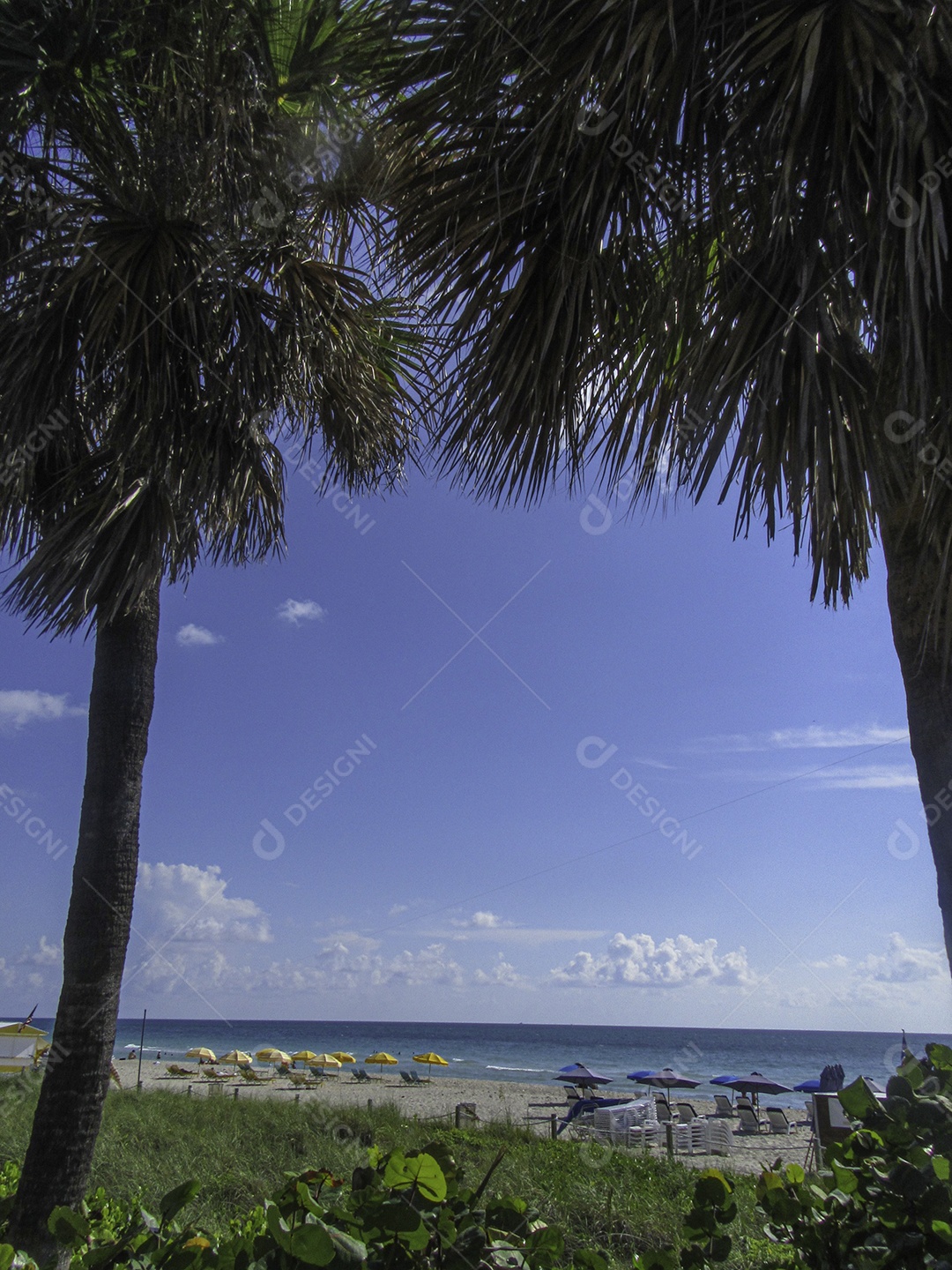 Miami Beach, Flórida, Estados Unidos da América