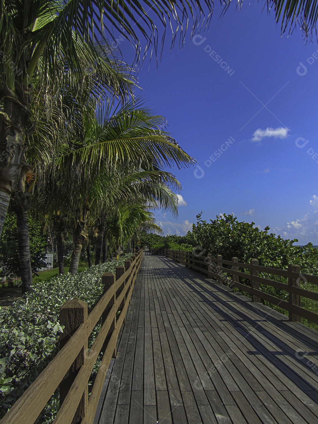 Miami Beach, Flórida, Estados Unidos da América