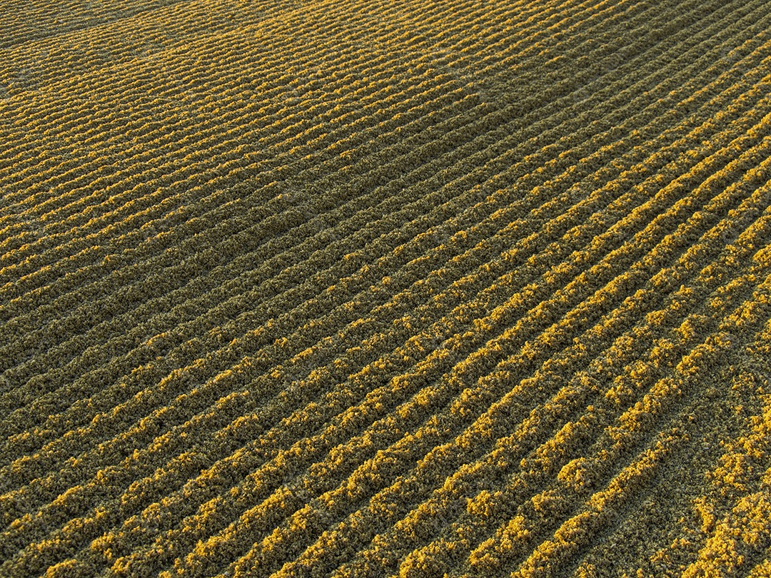 Miami Beach, Flórida, Estados Unidos da América