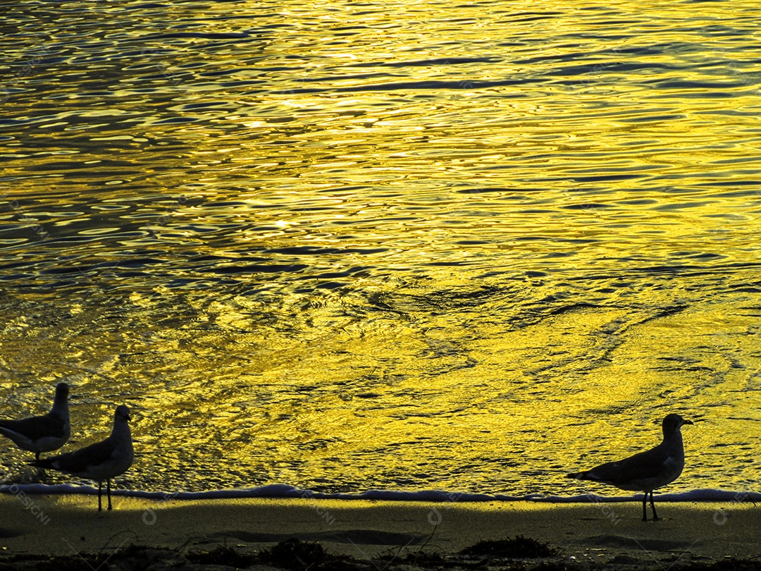 Miami Beach, Flórida, Estados Unidos da América
