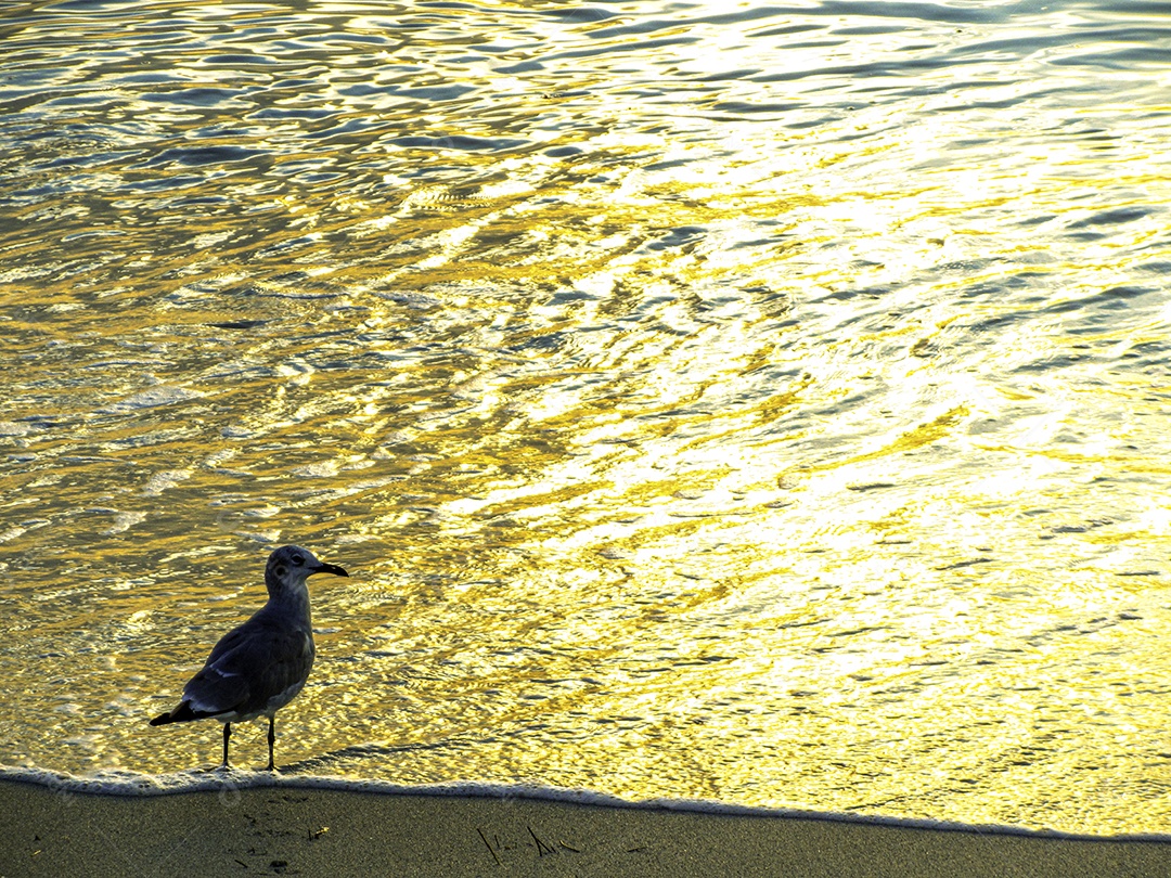 Miami Beach, Flórida, Estados Unidos da América