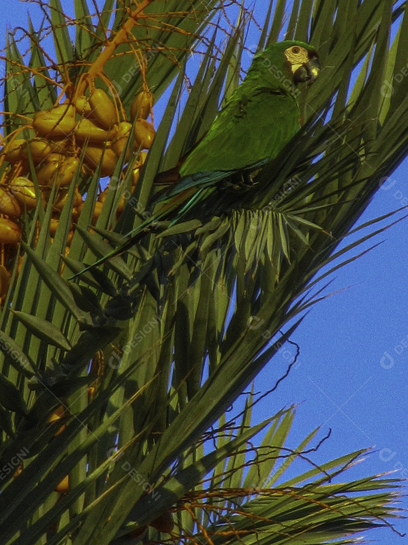 Miami Beach, Flórida, Estados Unidos da América