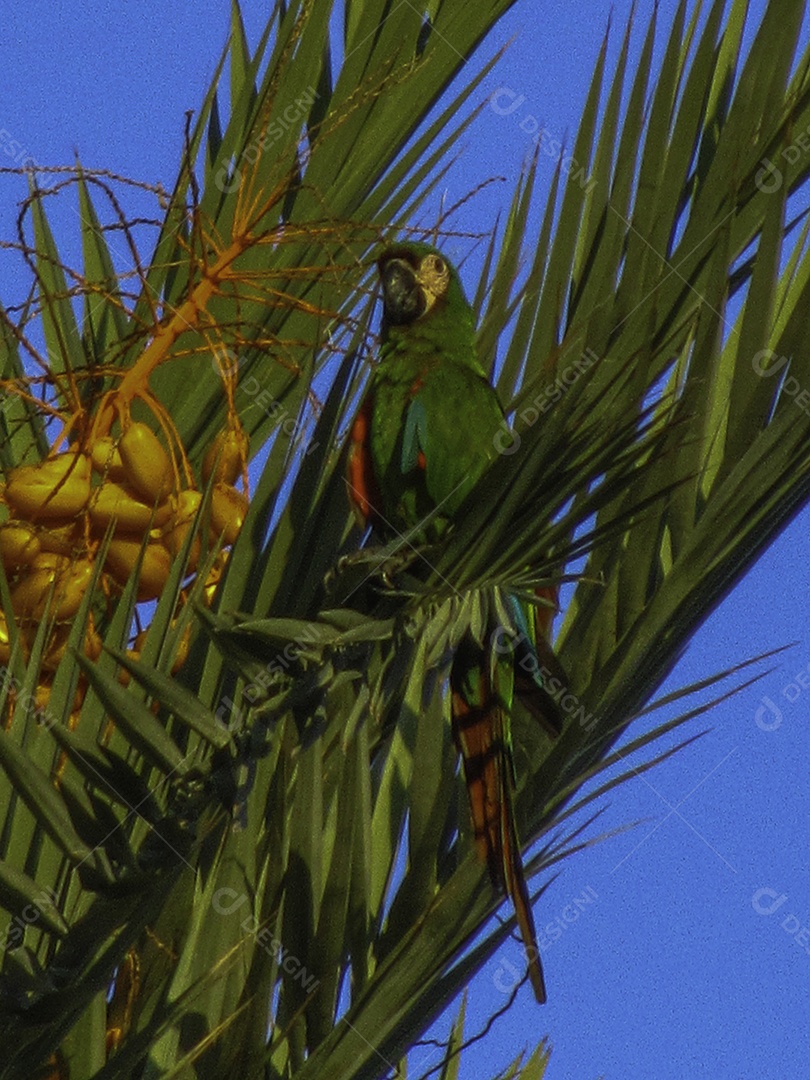 Miami Beach, Flórida, Estados Unidos da América