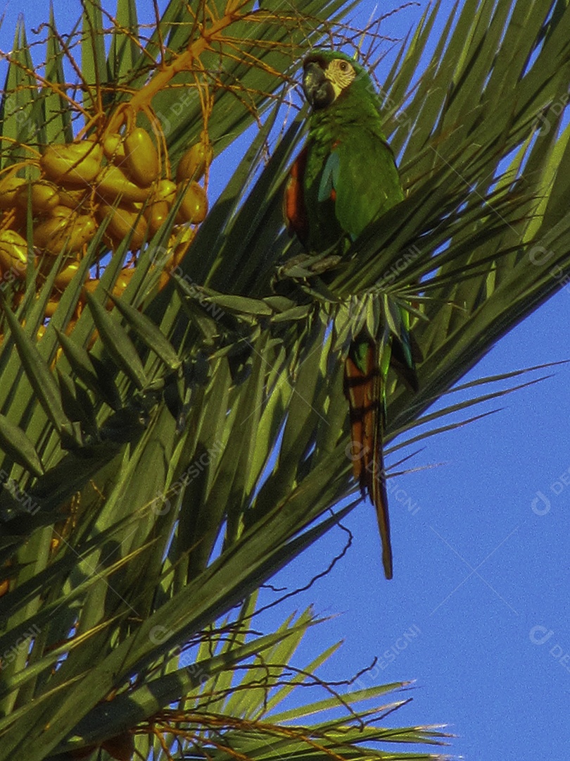 Miami Beach, Flórida, Estados Unidos da América