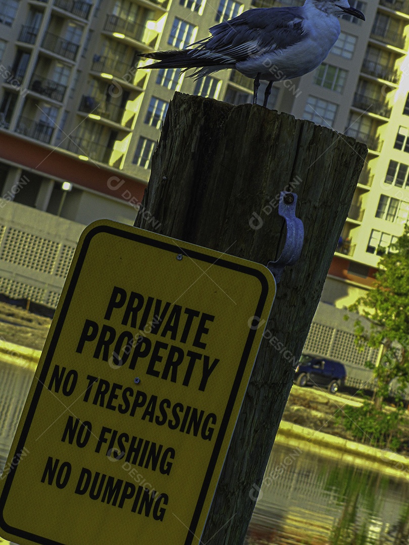 Miami Beach, Flórida, Estados Unidos da América