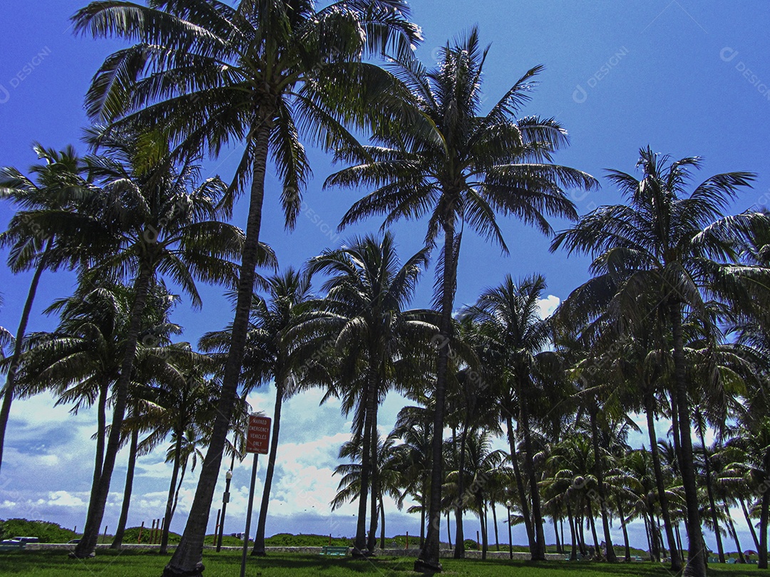 Miami Beach, Flórida, Estados Unidos da América
