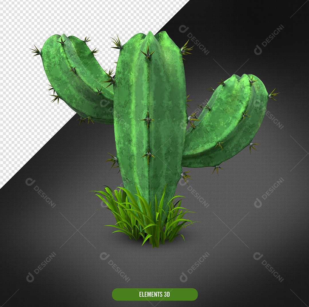 Elemento 3D Para Composição Cacto de São João PSD