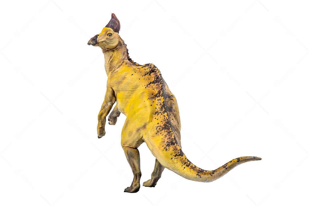 Belo dinossauro sobre fundo isolado