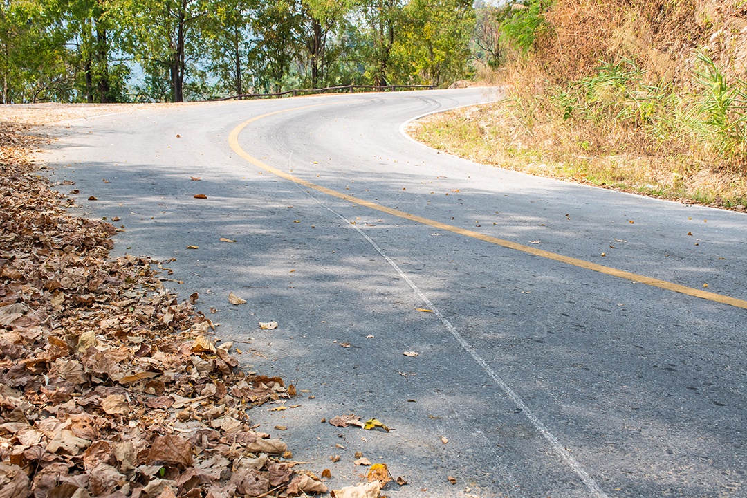 Folhas secas na estrada