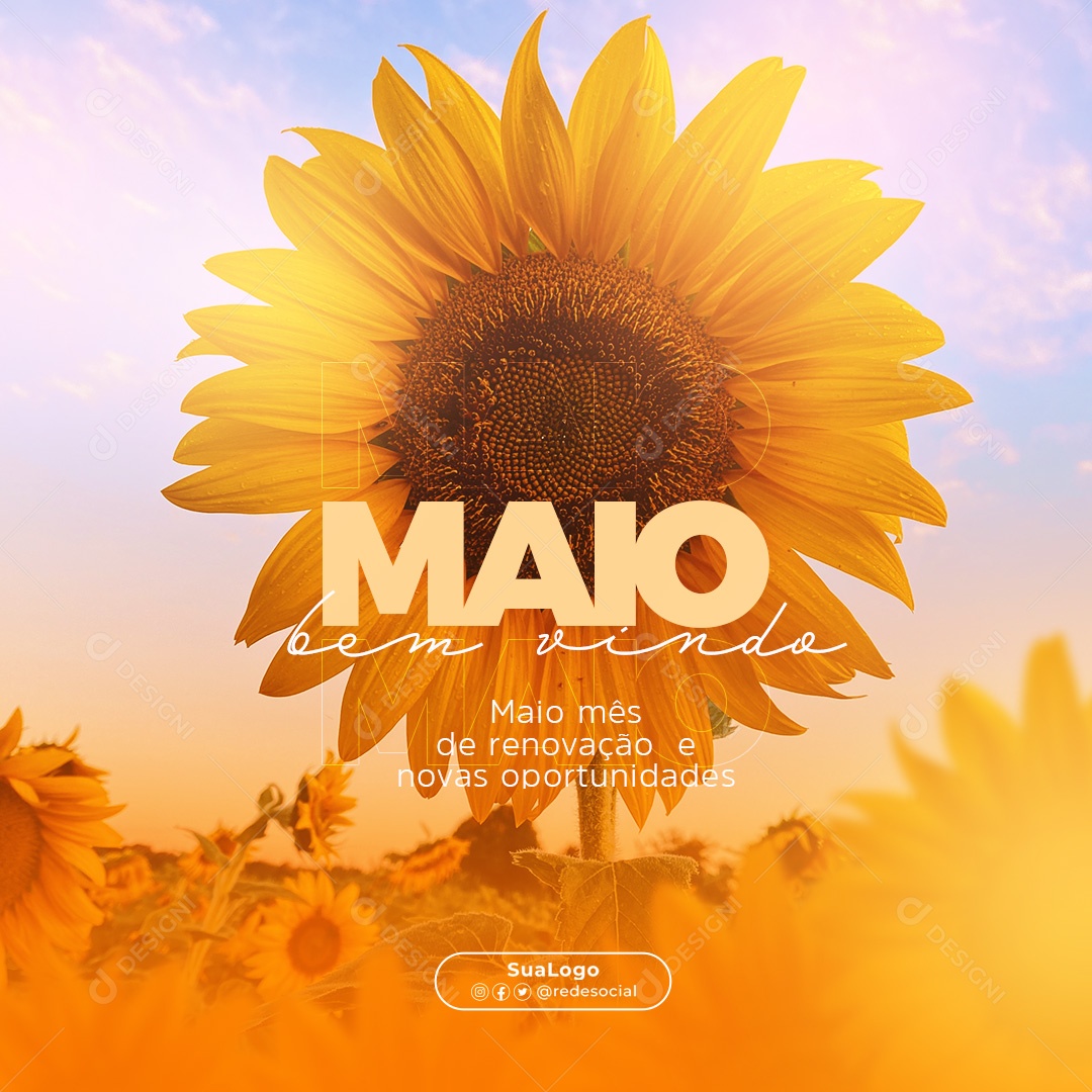 Social Media Bem Vindo Maio Mês De Renovação PSD Editavel