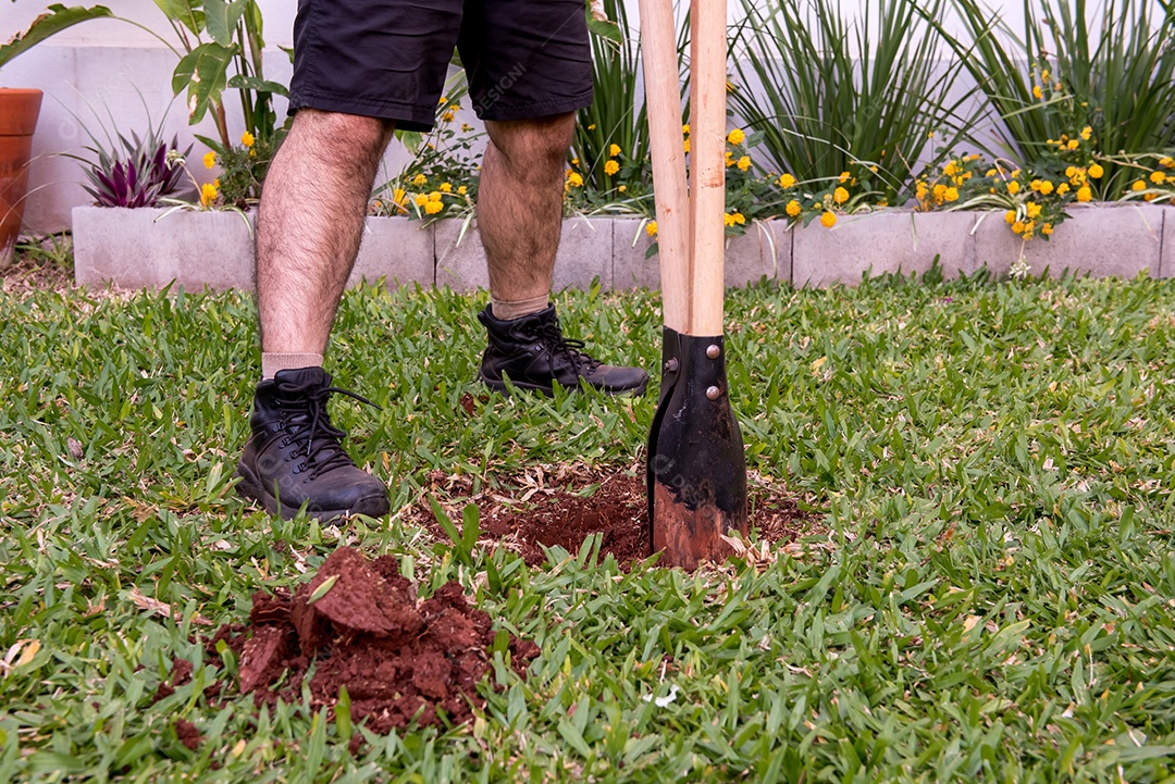 Pá de jardinagem dentro de um buraco no jardim