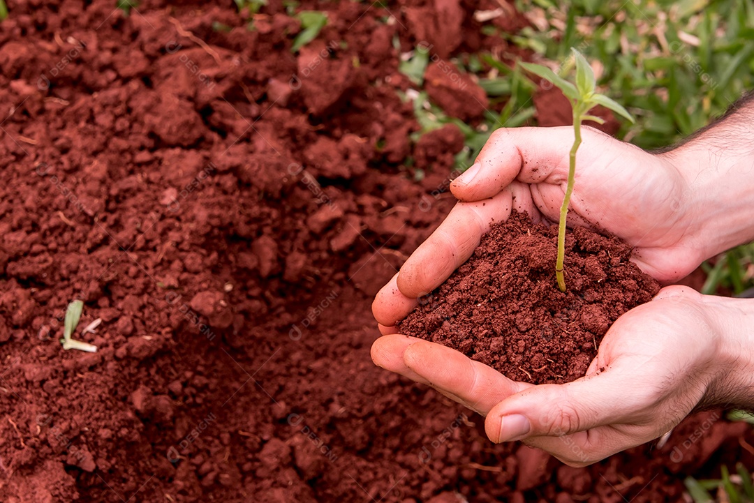 Mãos sujas de terra, símbolo do plantio