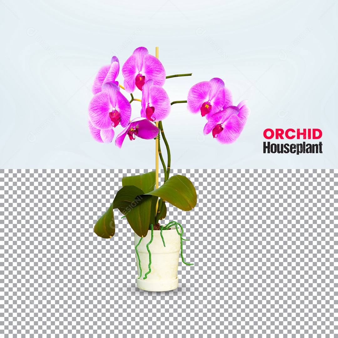 Planta Orquídea Elemento 3D PSD