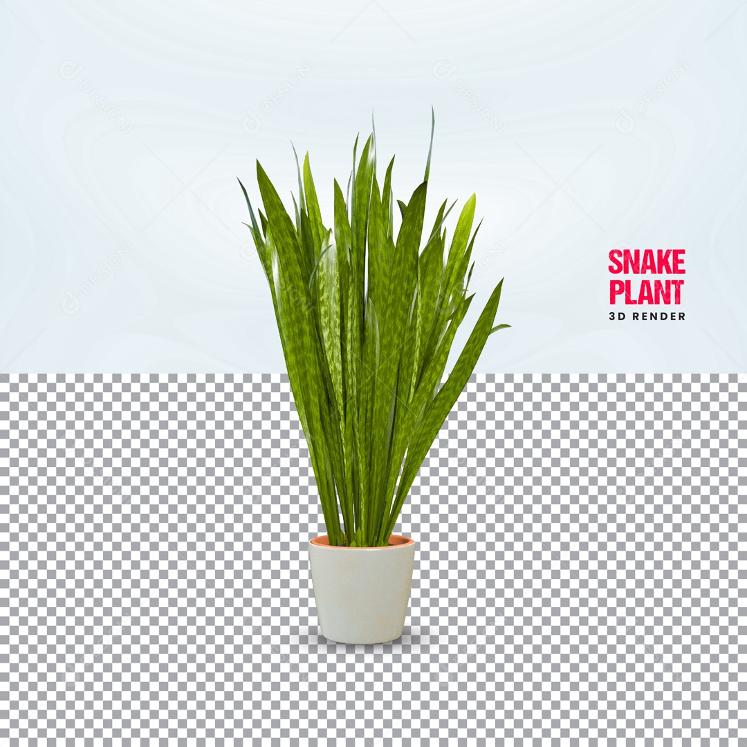 Planta Vallisneria Spiralis Elemento 3D PSD