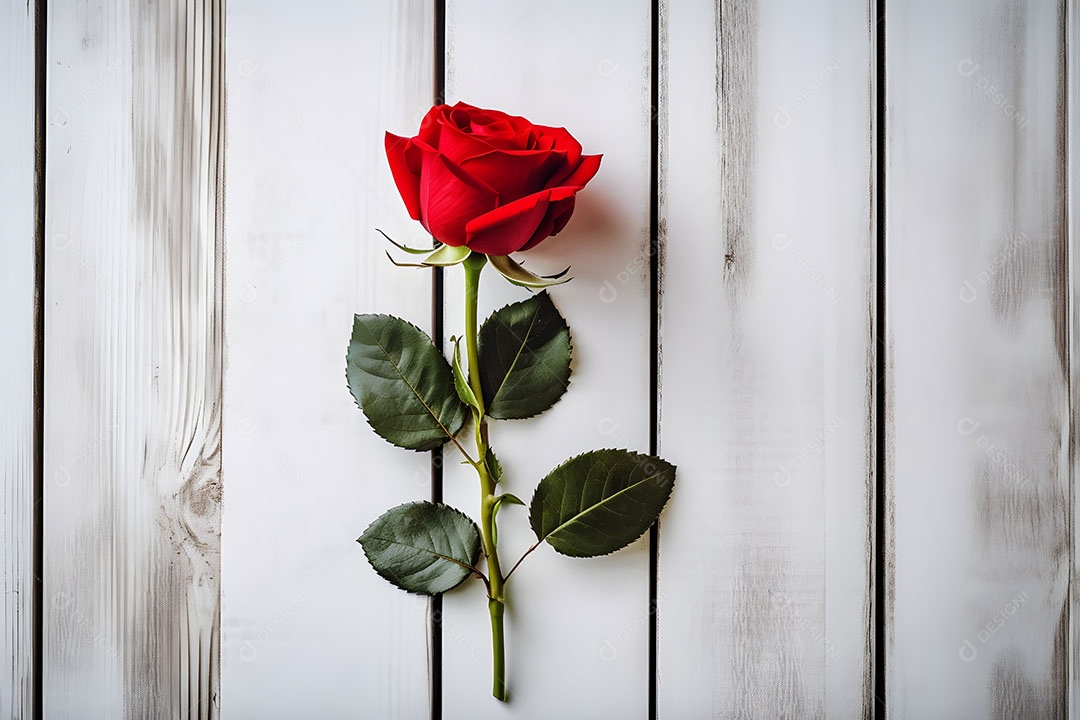 Lindas flores sobre fundo isolado