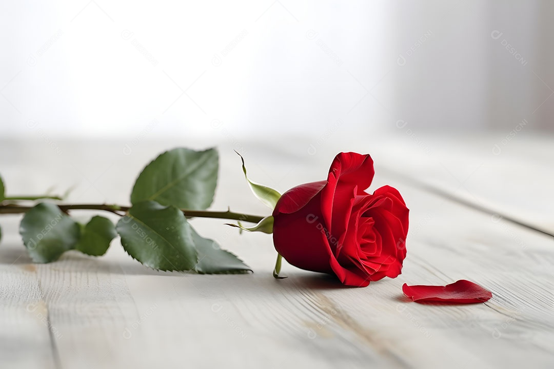 Lindas flores sobre fundo isolado