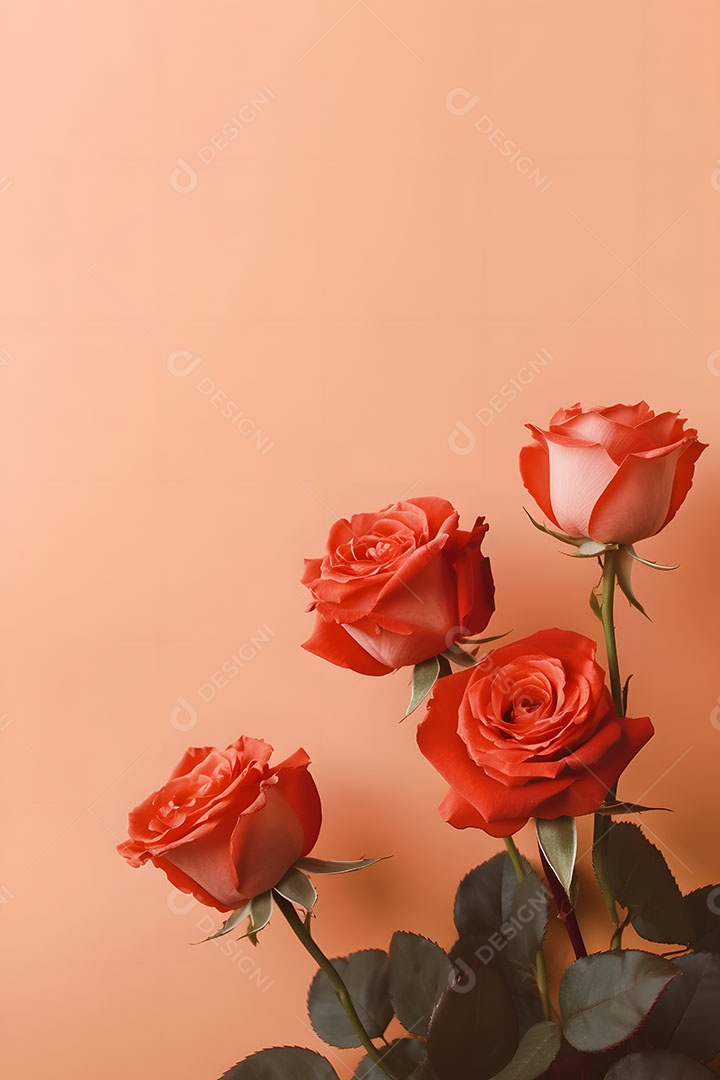 Lindas flores sobre fundo isolado