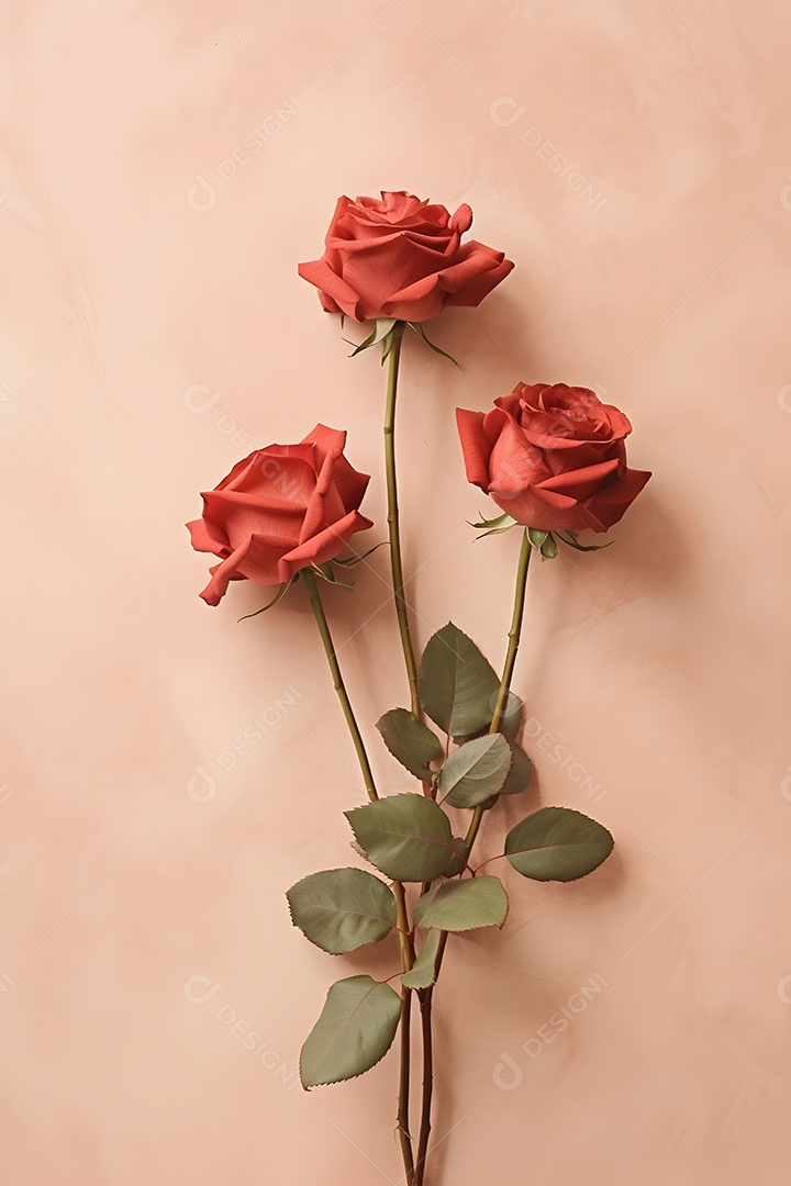 Lindas Flores sobre fundo isolado