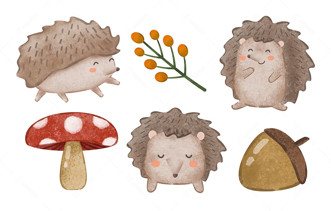 Desenho De Porco Ilustração Vetorial EPS