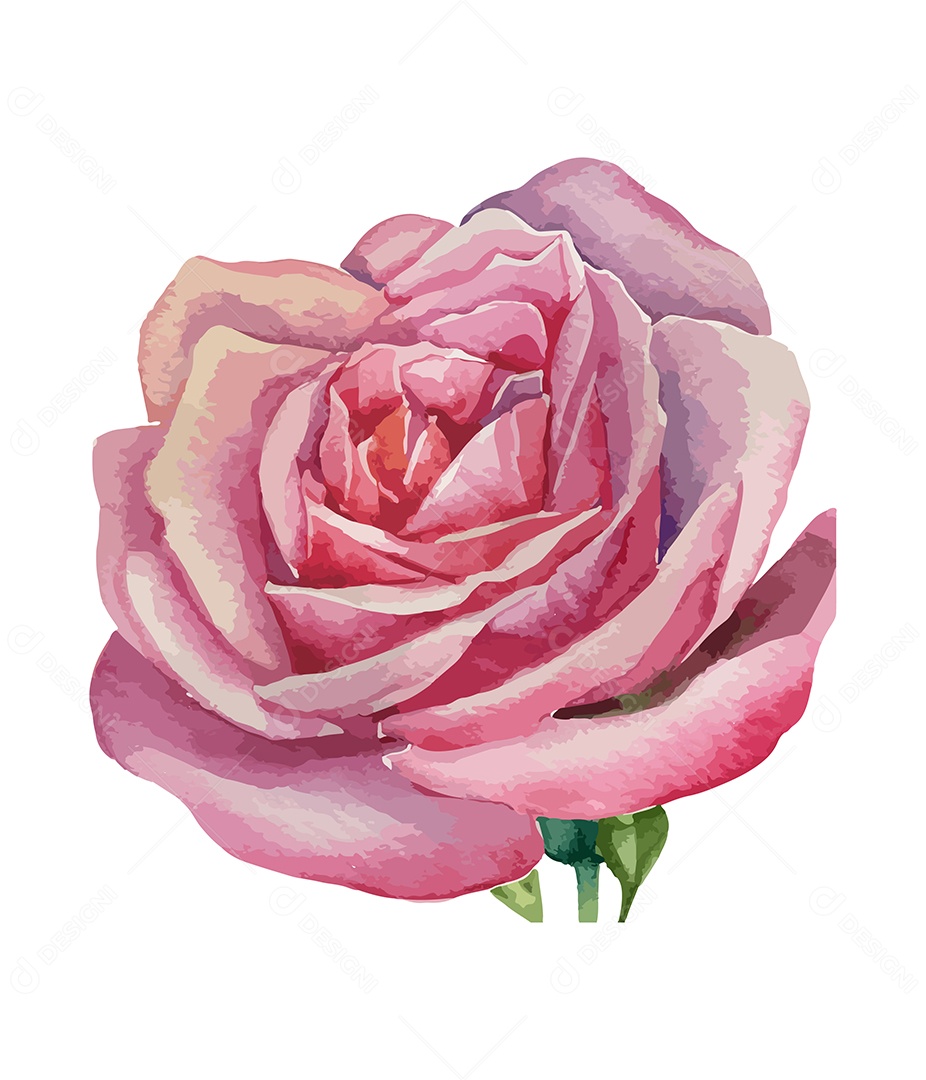 Desenho De Flor Em Aquarela Vetor EPS